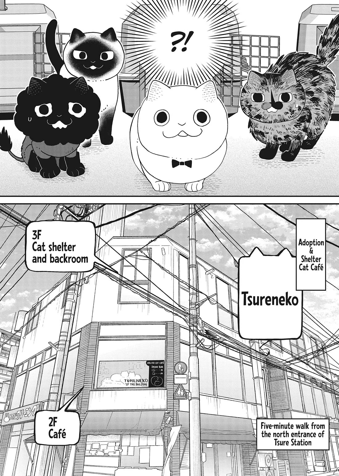 Cat Partners: Maruru and Hachi Chapter 41 page 13 - Chapter 41: Welcome to Tsureneko