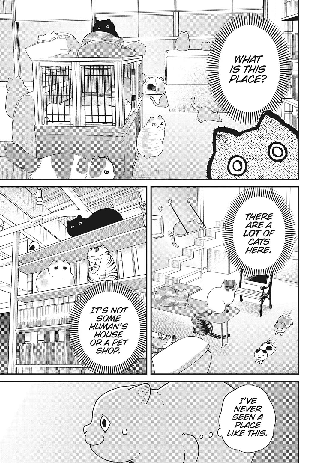 Cat Partners: Maruru and Hachi Chapter 41 page 14 - Chapter 41: Welcome to Tsureneko