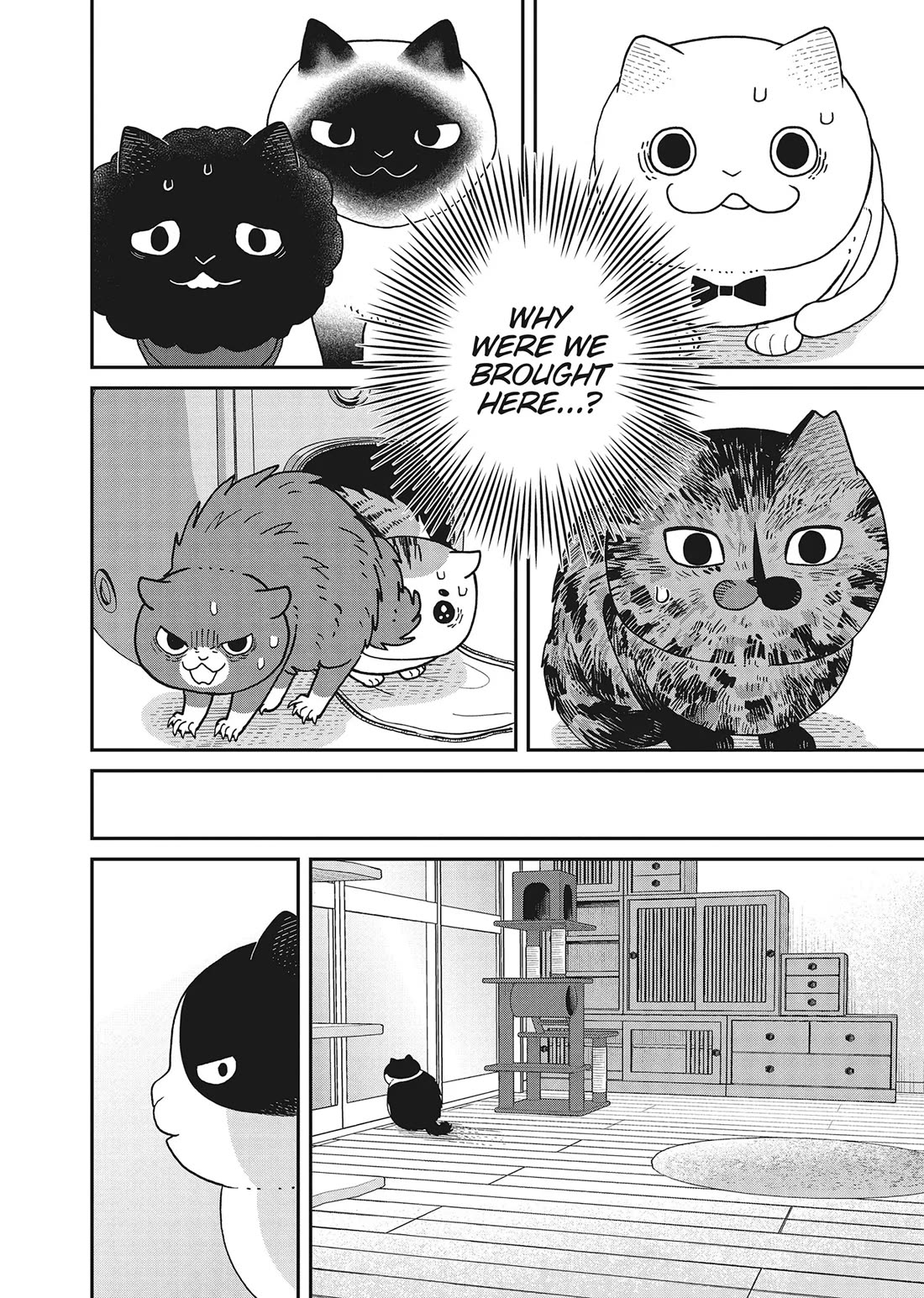 Cat Partners: Maruru and Hachi Chapter 41 page 15 - Chapter 41: Welcome to Tsureneko