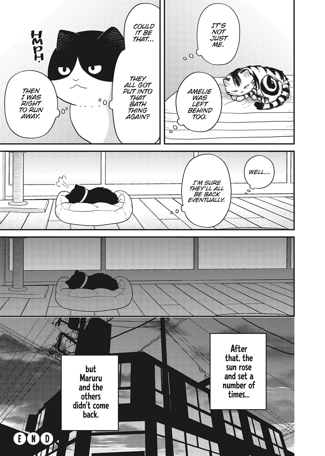Cat Partners: Maruru and Hachi Chapter 41 page 16 - Chapter 41: Welcome to Tsureneko