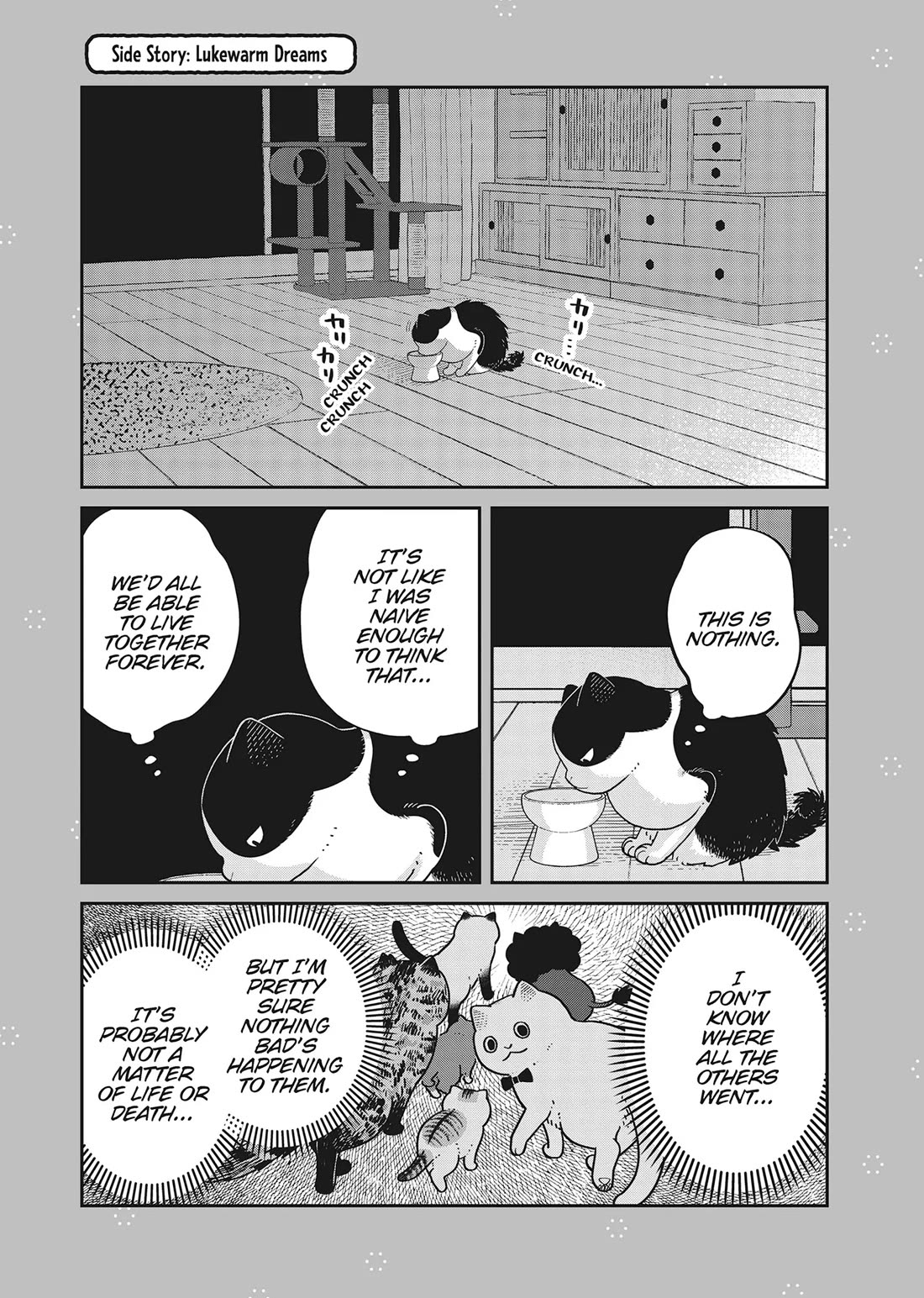 Cat Partners: Maruru and Hachi Chapter 41 page 17 - Chapter 41: Welcome to Tsureneko