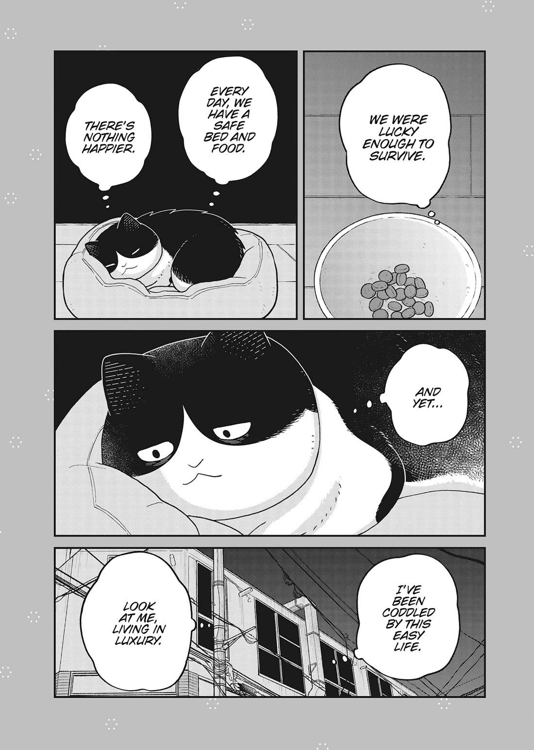 Cat Partners: Maruru and Hachi Chapter 41 page 18 - Chapter 41: Welcome to Tsureneko
