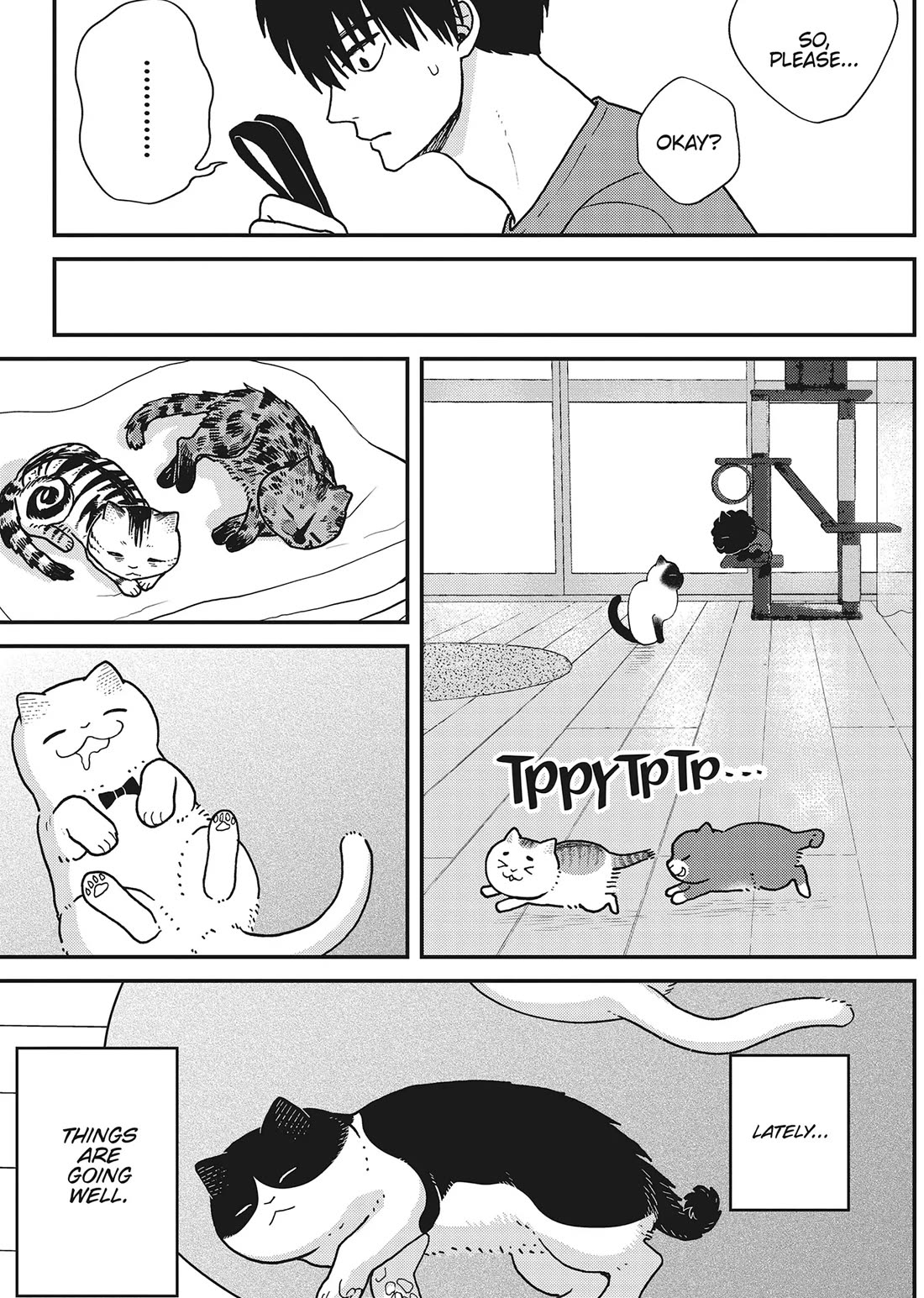 Cat Partners: Maruru and Hachi Chapter 41 page 5 - Chapter 41: Welcome to Tsureneko