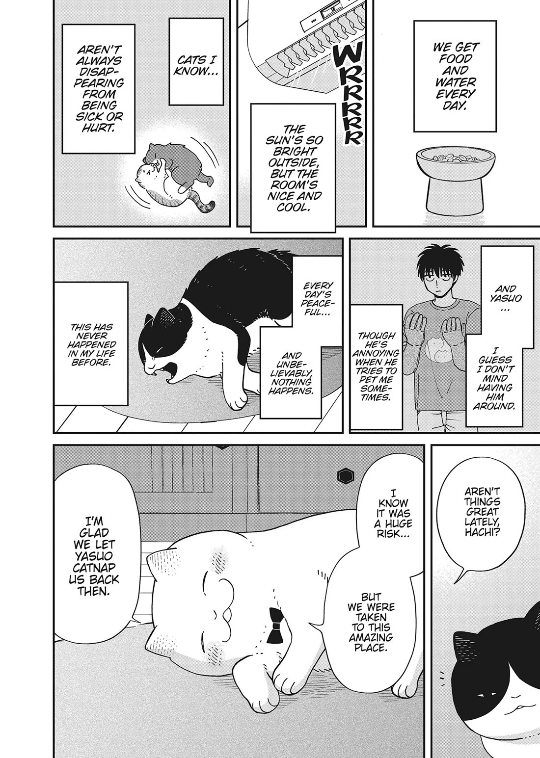 Cat Partners: Maruru and Hachi Chapter 41 page 6 - Chapter 41: Welcome to Tsureneko