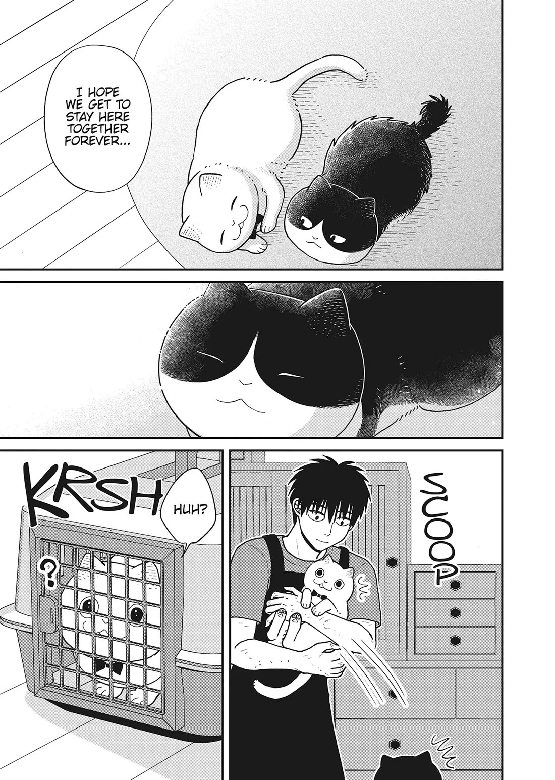 Cat Partners: Maruru and Hachi Chapter 41 page 7 - Chapter 41: Welcome to Tsureneko