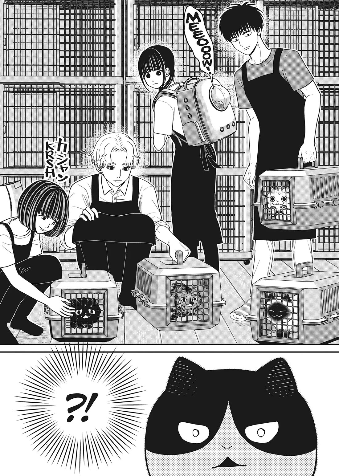 Cat Partners: Maruru and Hachi Chapter 41 page 8 - Chapter 41: Welcome to Tsureneko