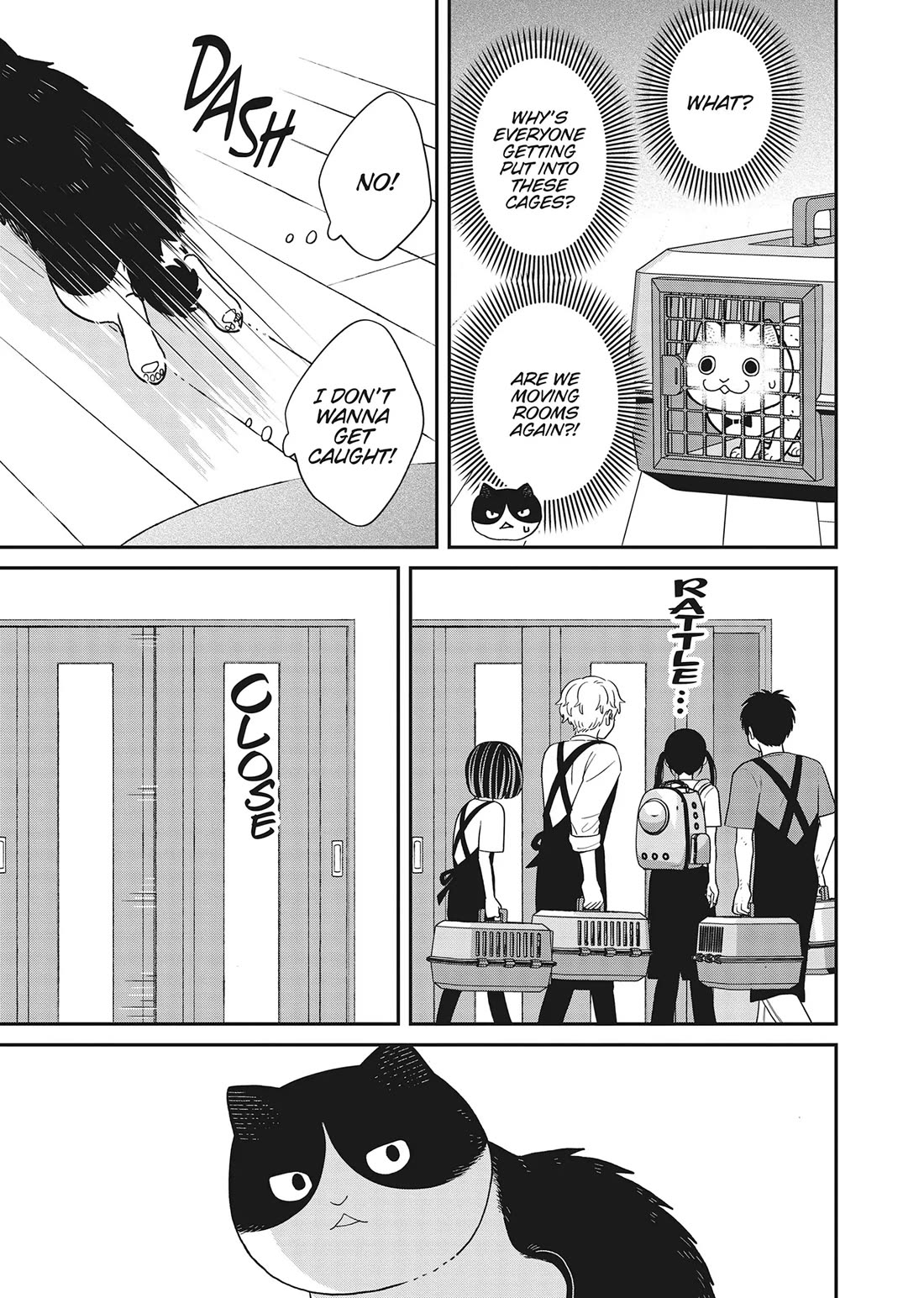 Cat Partners: Maruru and Hachi Chapter 41 page 9 - Chapter 41: Welcome to Tsureneko