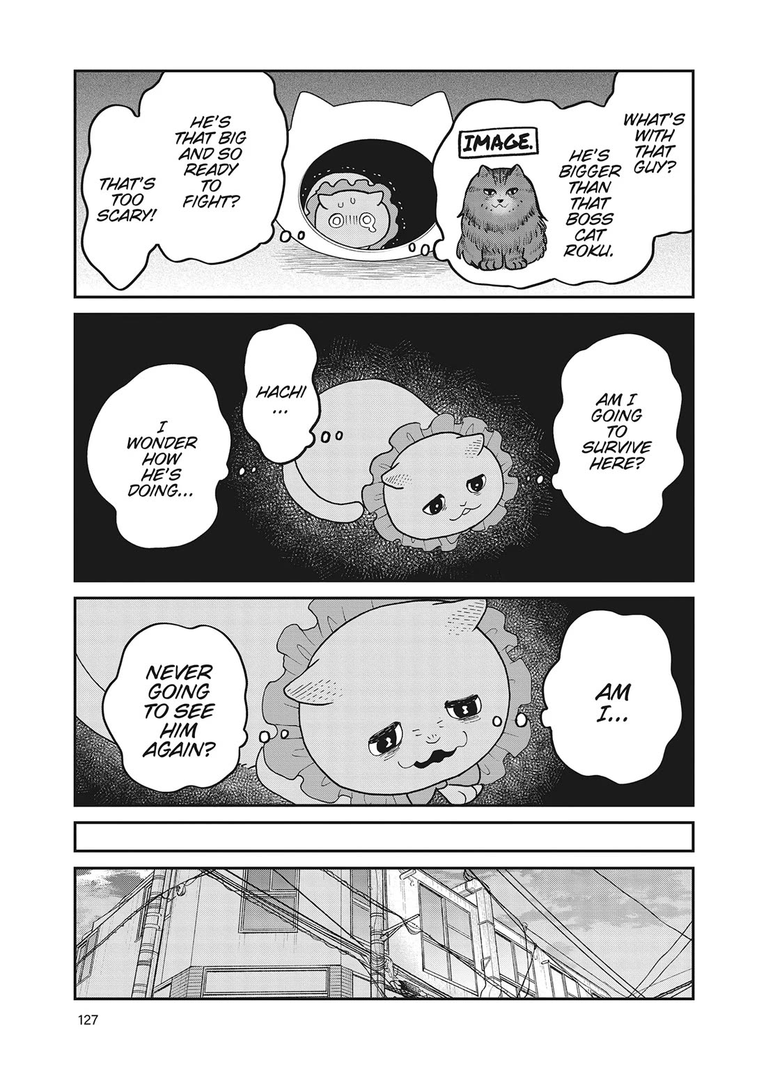 Cat Partners: Maruru and Hachi Chapter 42 page 11 - Chapter 42: It's Been a While