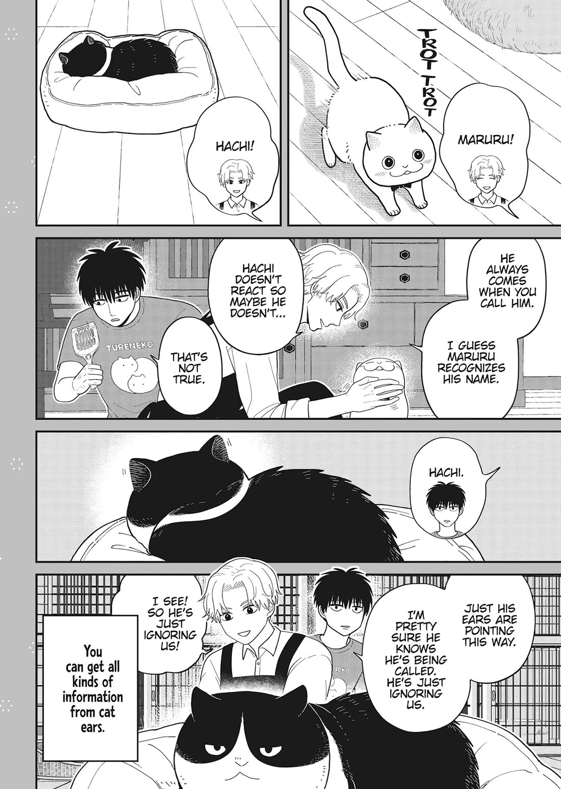 Cat Partners: Maruru and Hachi Chapter 42 page 20 - Chapter 42: It's Been a While