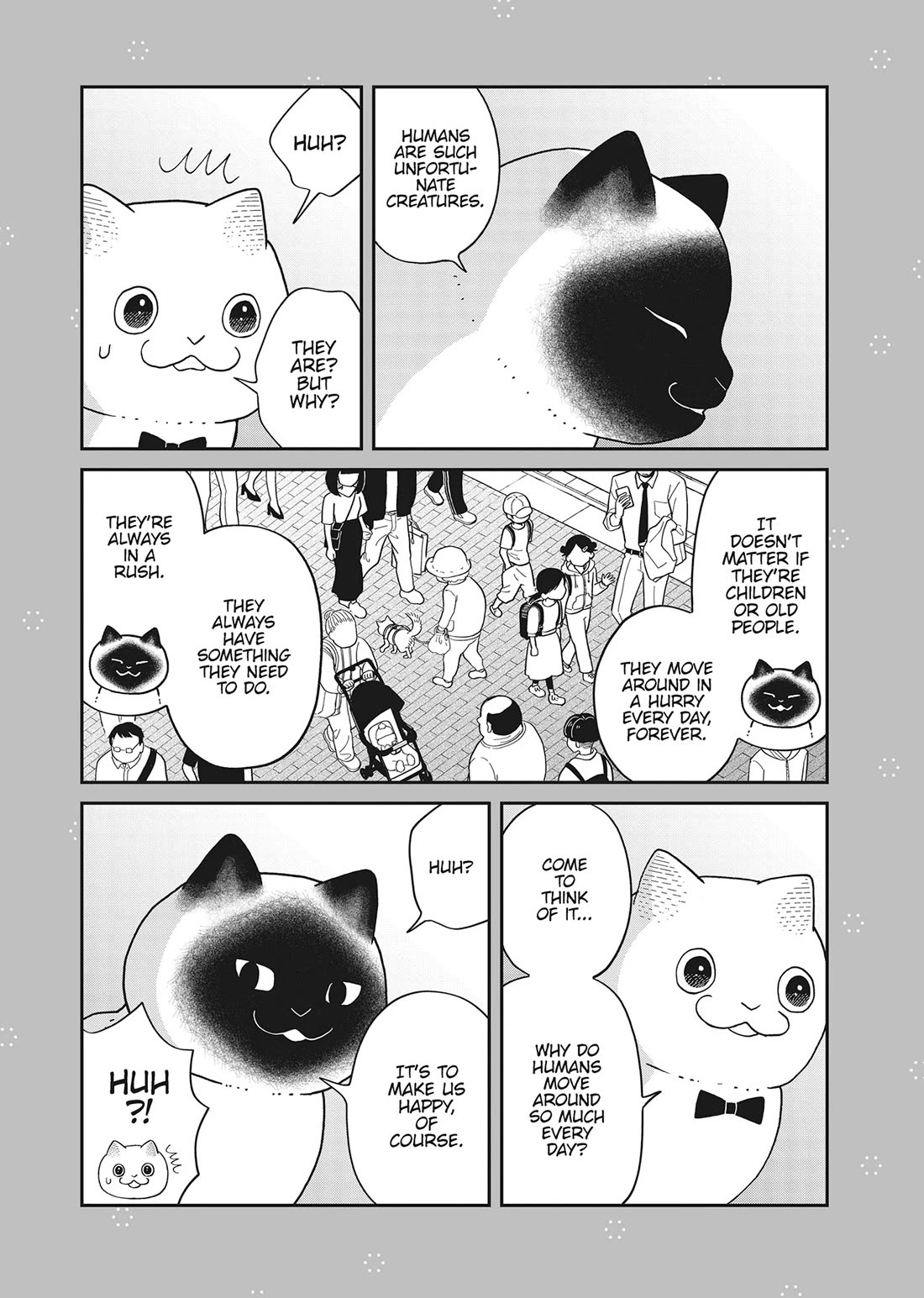 Cat Partners: Maruru and Hachi Chapter 42 page 23 - Chapter 42: It's Been a While