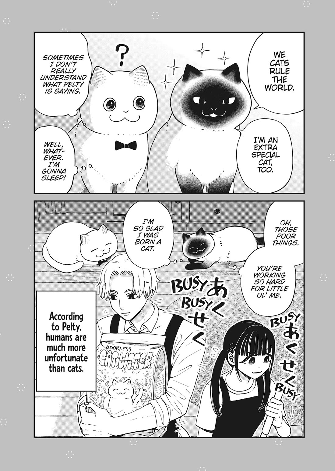 Cat Partners: Maruru and Hachi Chapter 42 page 24 - Chapter 42: It's Been a While