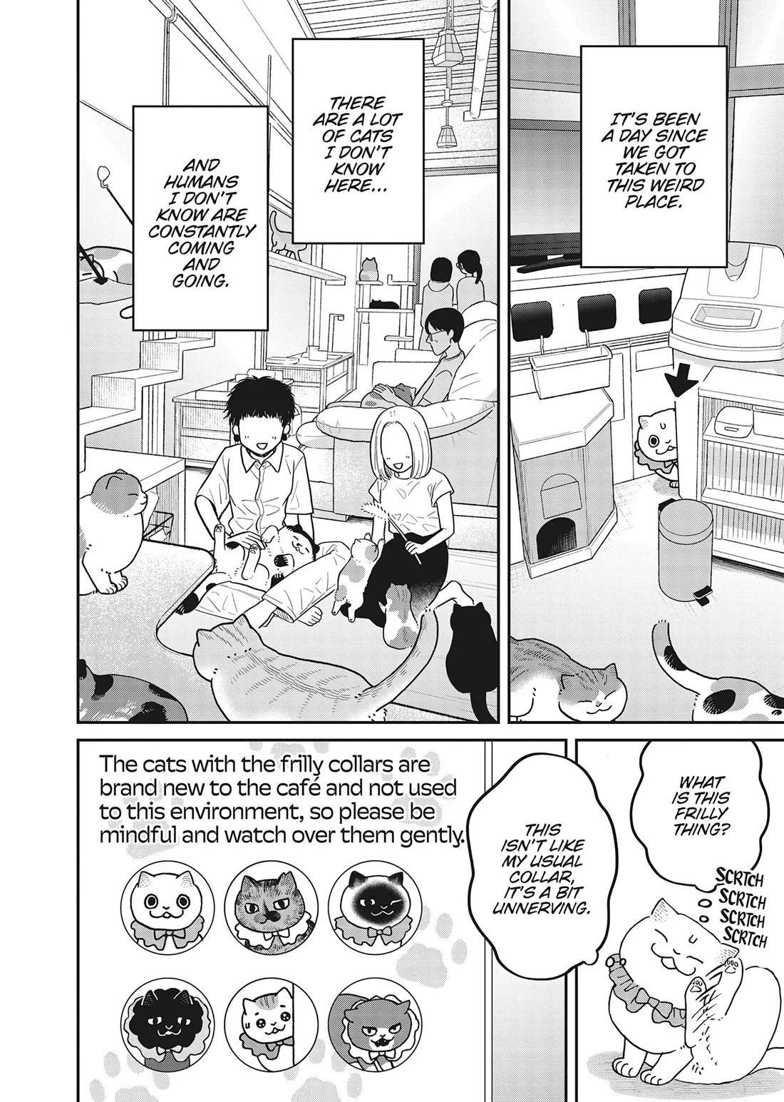 Cat Partners: Maruru and Hachi Chapter 42 page 4 - Chapter 42: It's Been a While
