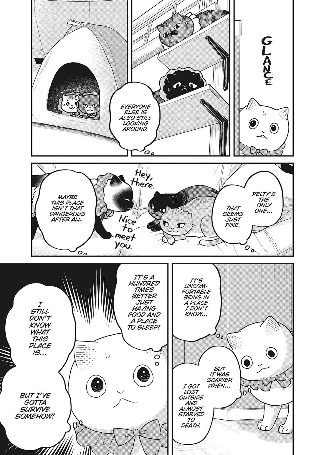 Cat Partners: Maruru and Hachi Chapter 42 page 5 - Chapter 42: It's Been a While