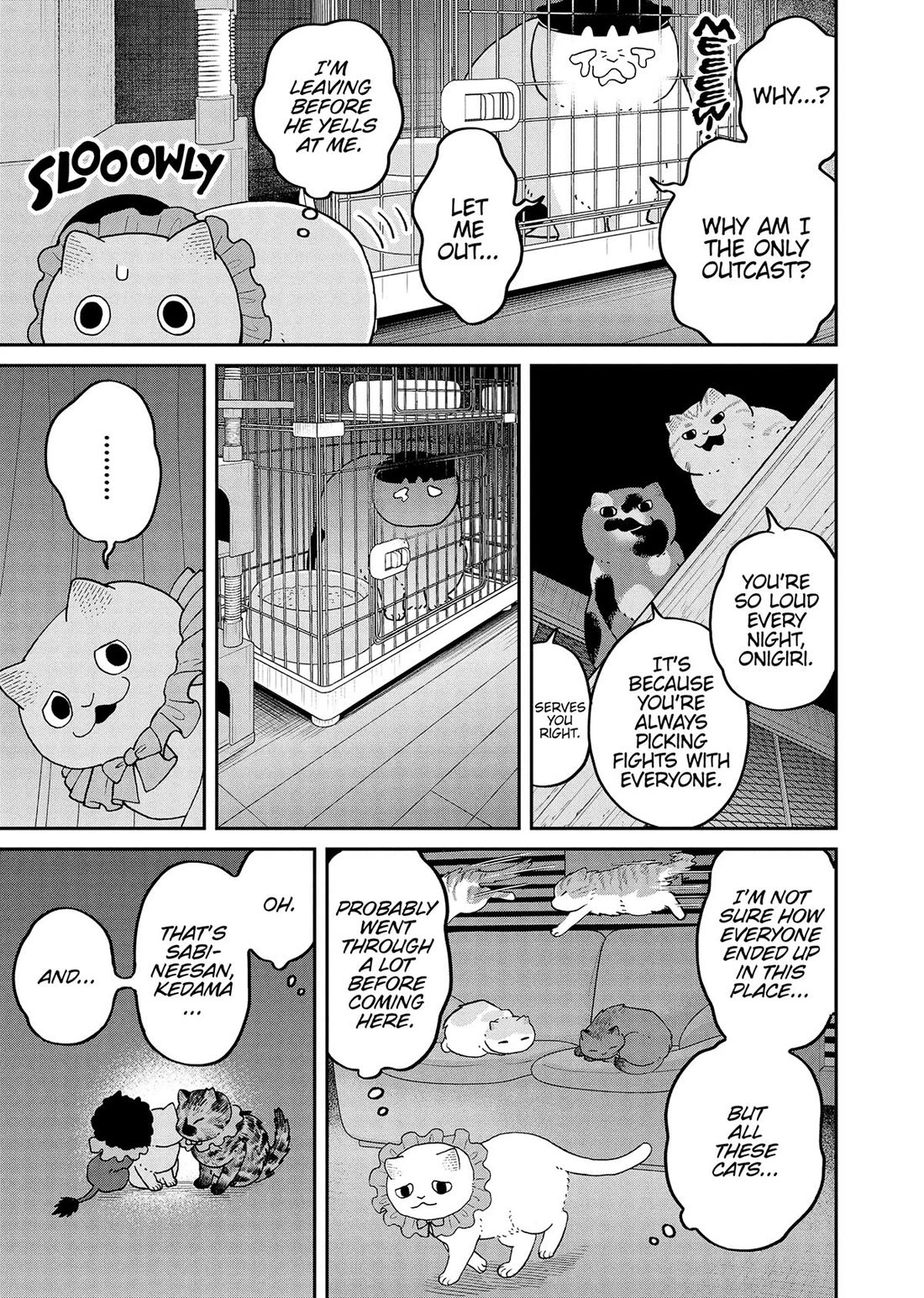 Cat Partners: Maruru and Hachi Chapter 43 page 10 - Chapter 43