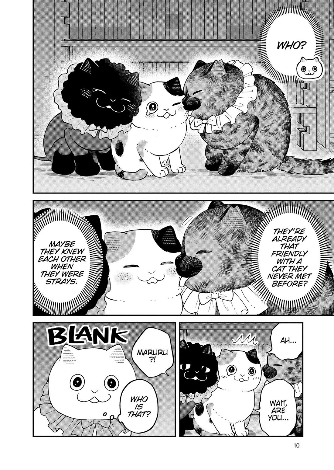 Cat Partners: Maruru and Hachi Chapter 43 page 11 - Chapter 43
