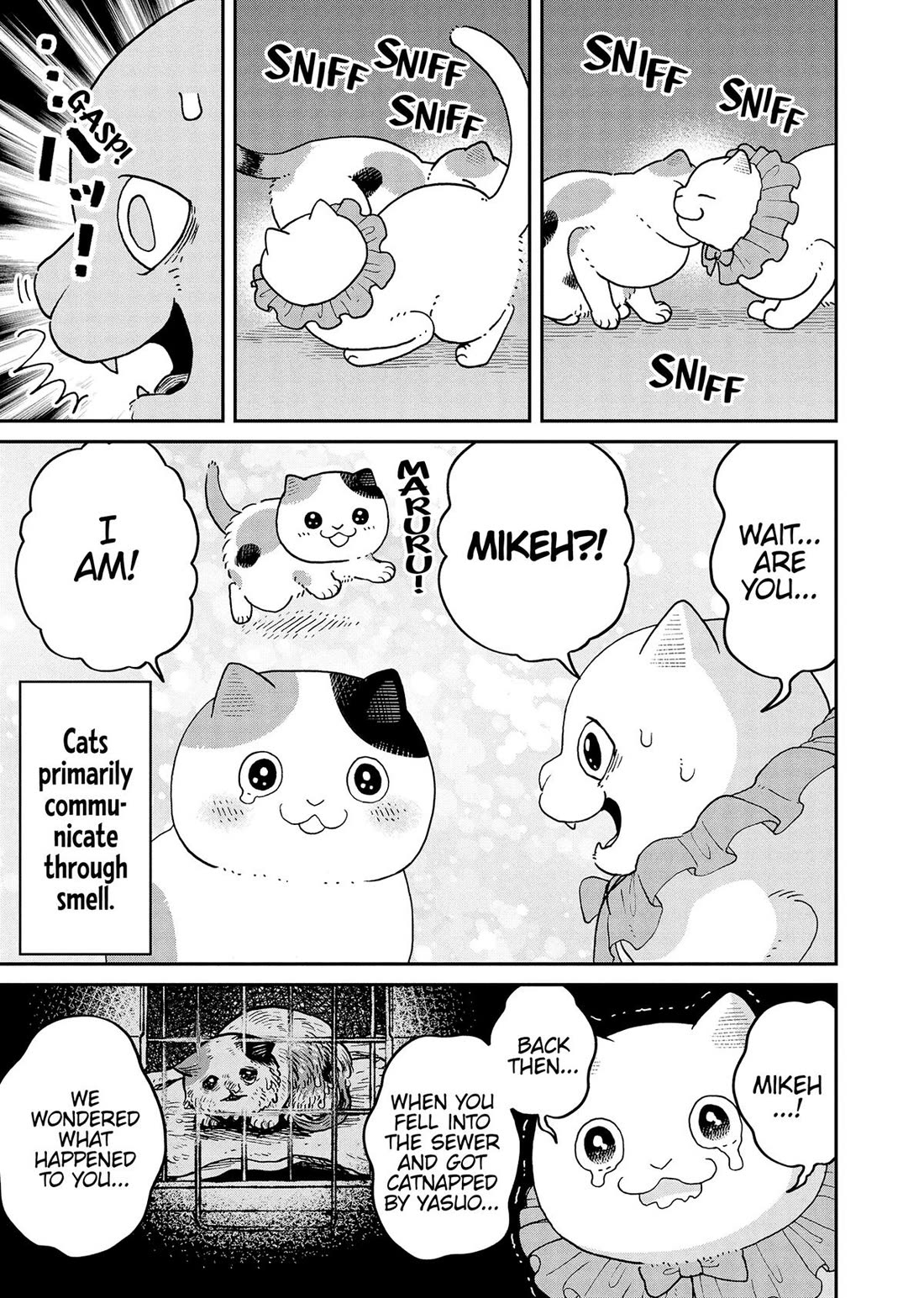 Cat Partners: Maruru and Hachi Chapter 43 page 12 - Chapter 43