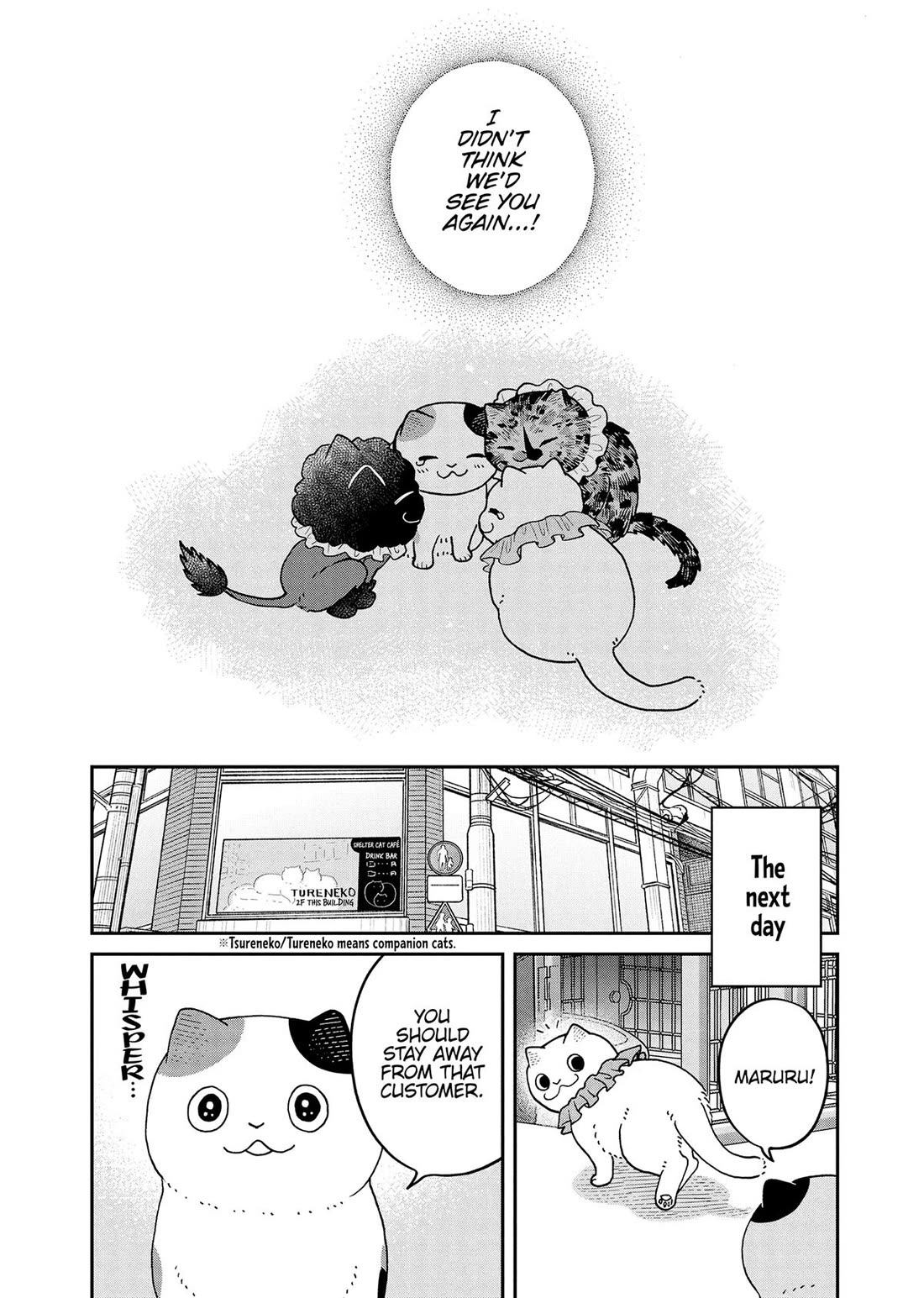 Cat Partners: Maruru and Hachi Chapter 43 page 13 - Chapter 43