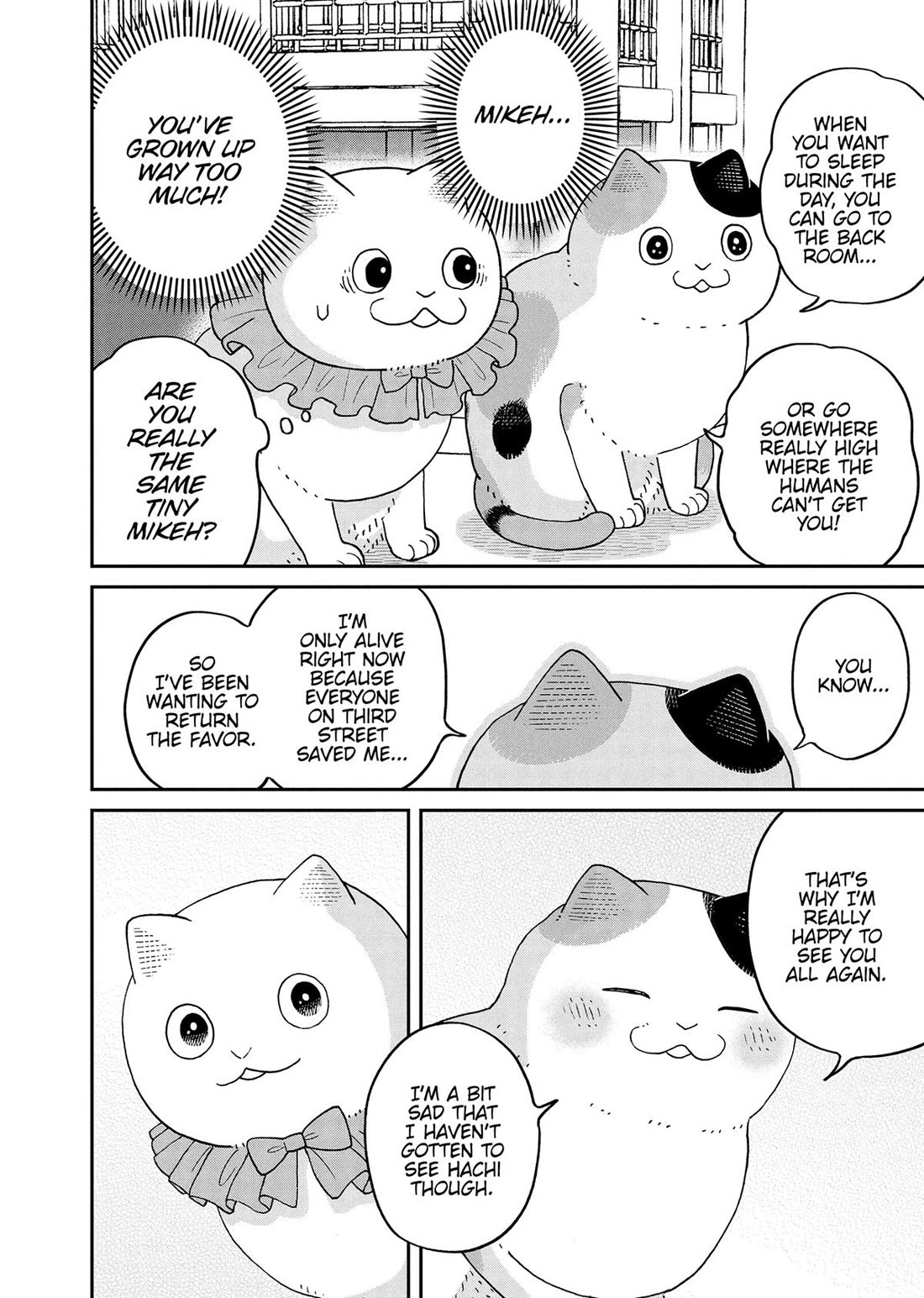 Cat Partners: Maruru and Hachi Chapter 43 page 15 - Chapter 43