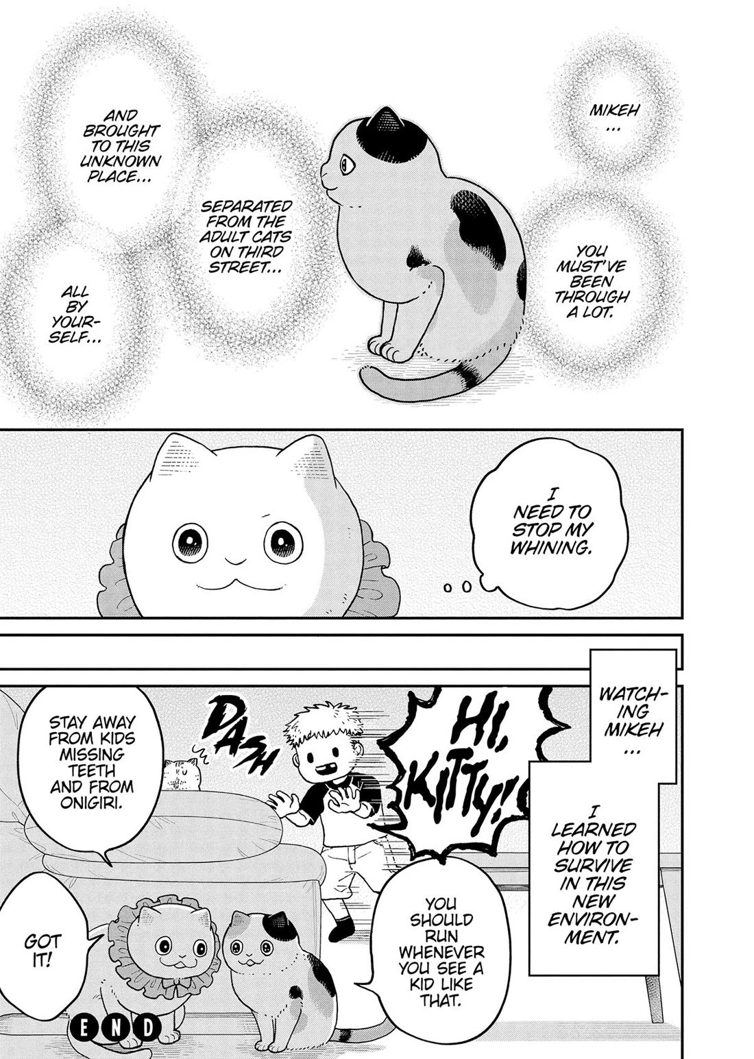 Cat Partners: Maruru and Hachi Chapter 43 page 16 - Chapter 43