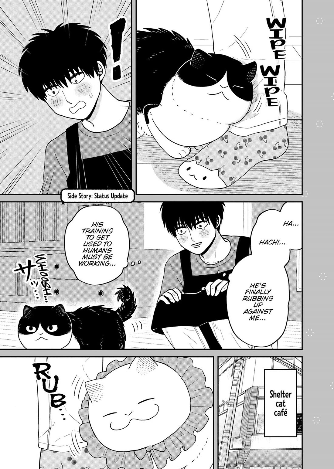 Cat Partners: Maruru and Hachi Chapter 43 page 18 - Chapter 43