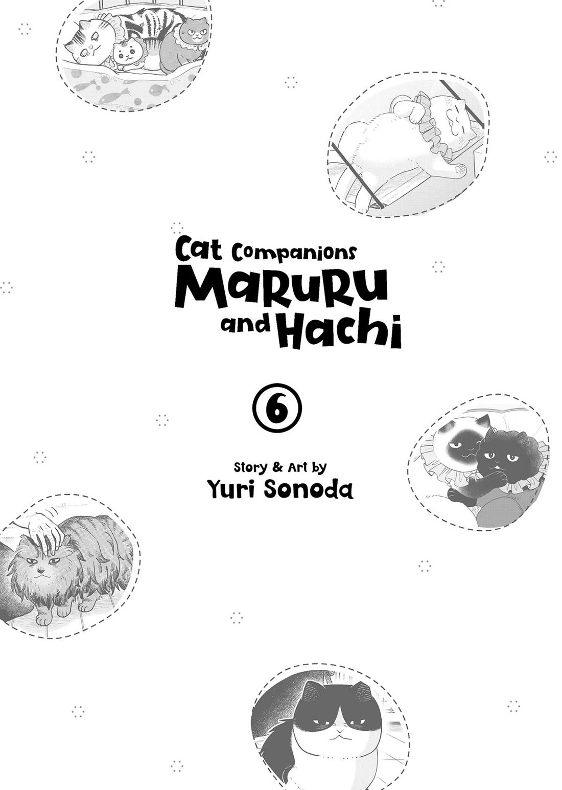 Cat Partners: Maruru and Hachi Chapter 43 page 2 - Chapter 43