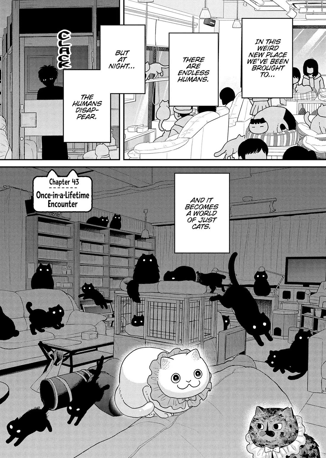 Cat Partners: Maruru and Hachi Chapter 43 page 6 - Chapter 43