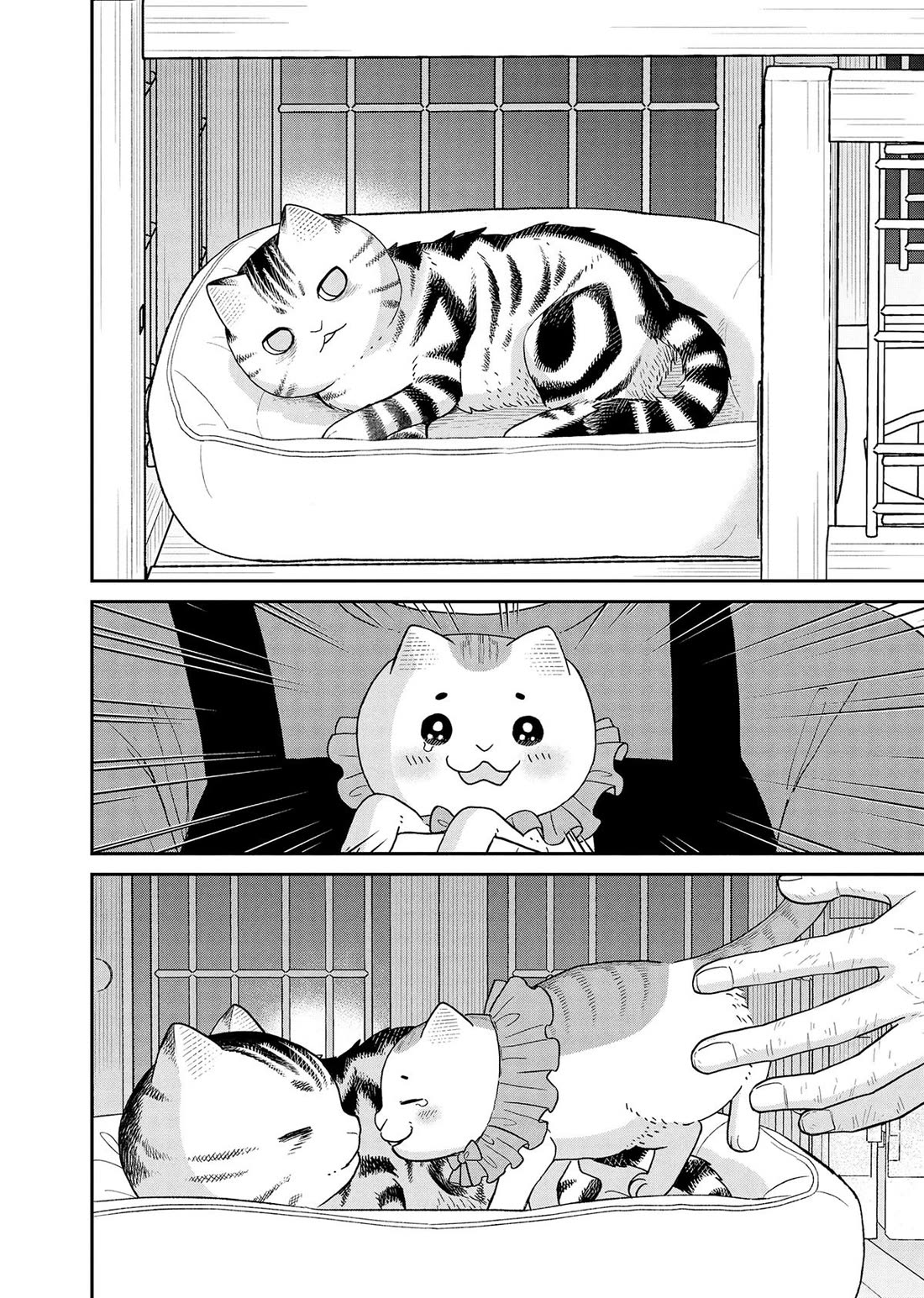 Cat Partners: Maruru and Hachi Chapter 44 page 10 - Chapter 44
