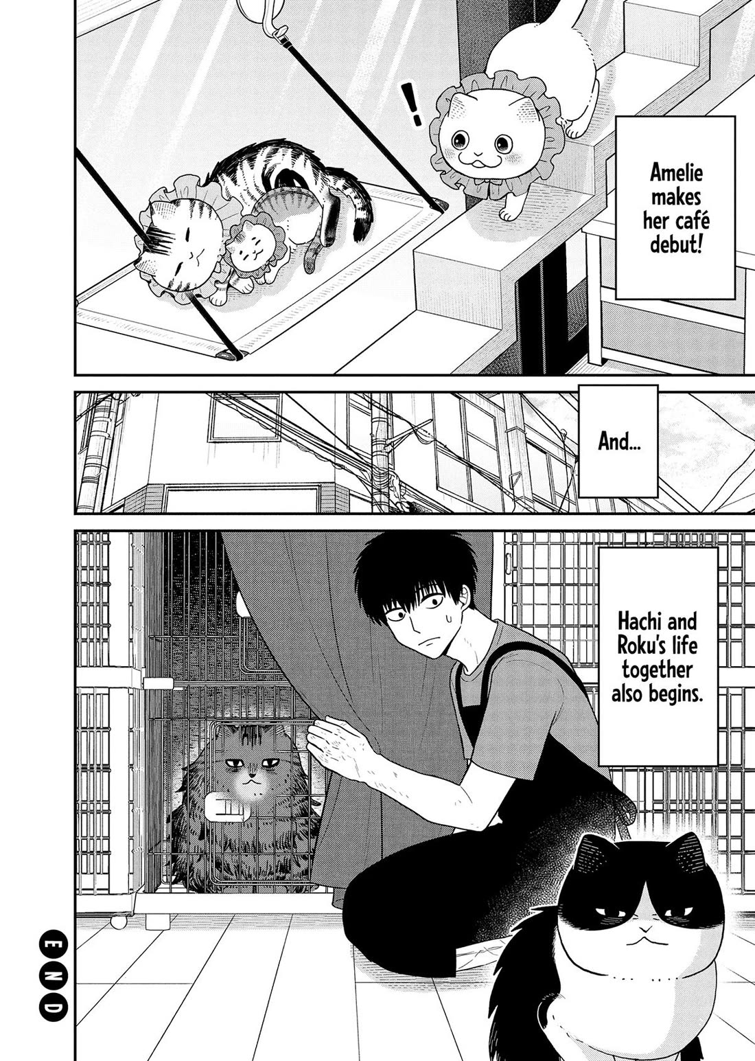 Cat Partners: Maruru and Hachi Chapter 44 page 12 - Chapter 44