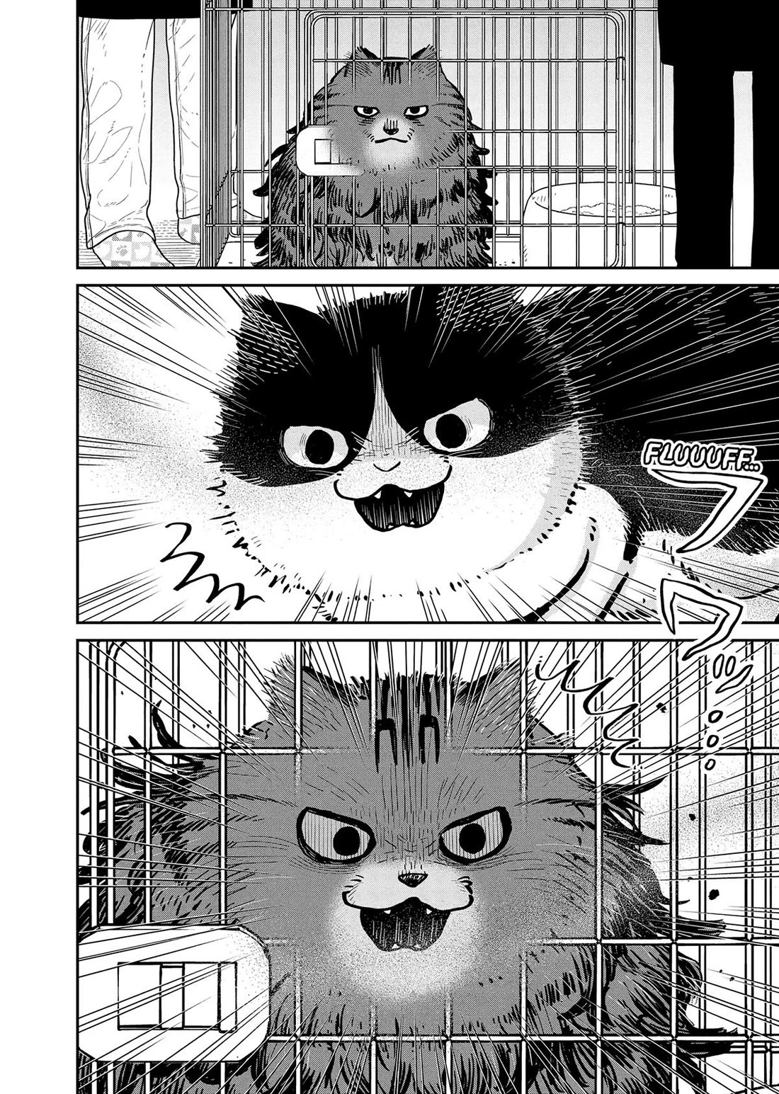Cat Partners: Maruru and Hachi Chapter 44 page 2 - Chapter 44