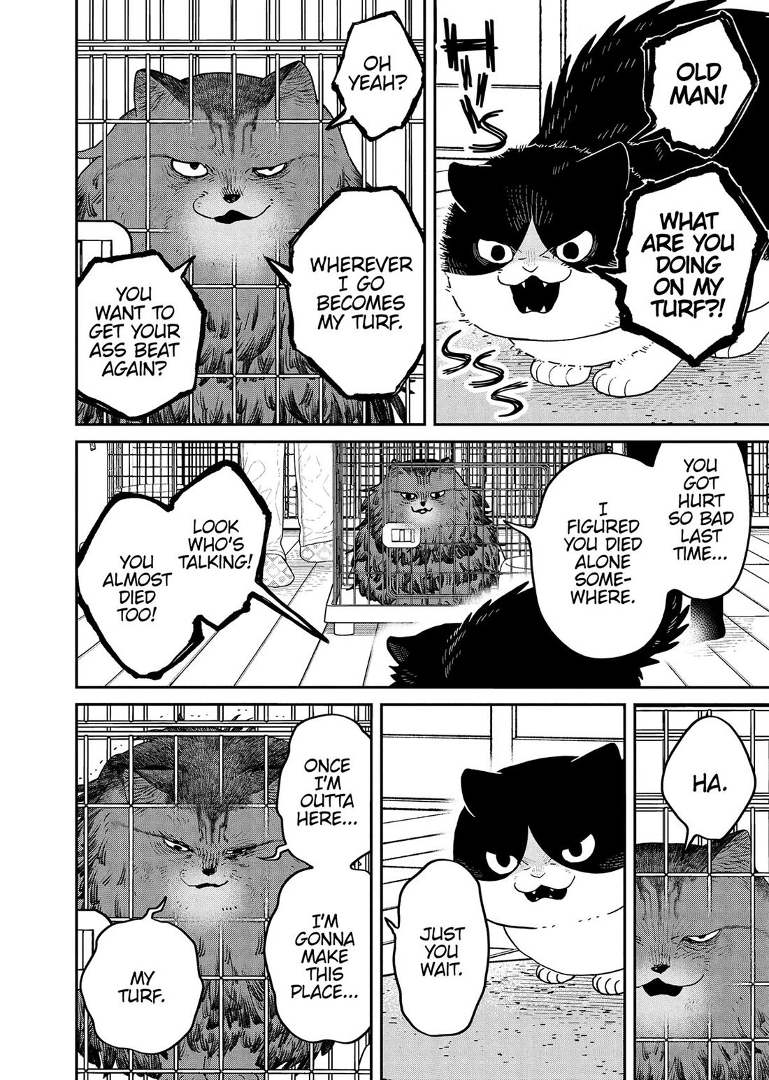 Cat Partners: Maruru and Hachi Chapter 44 page 4 - Chapter 44