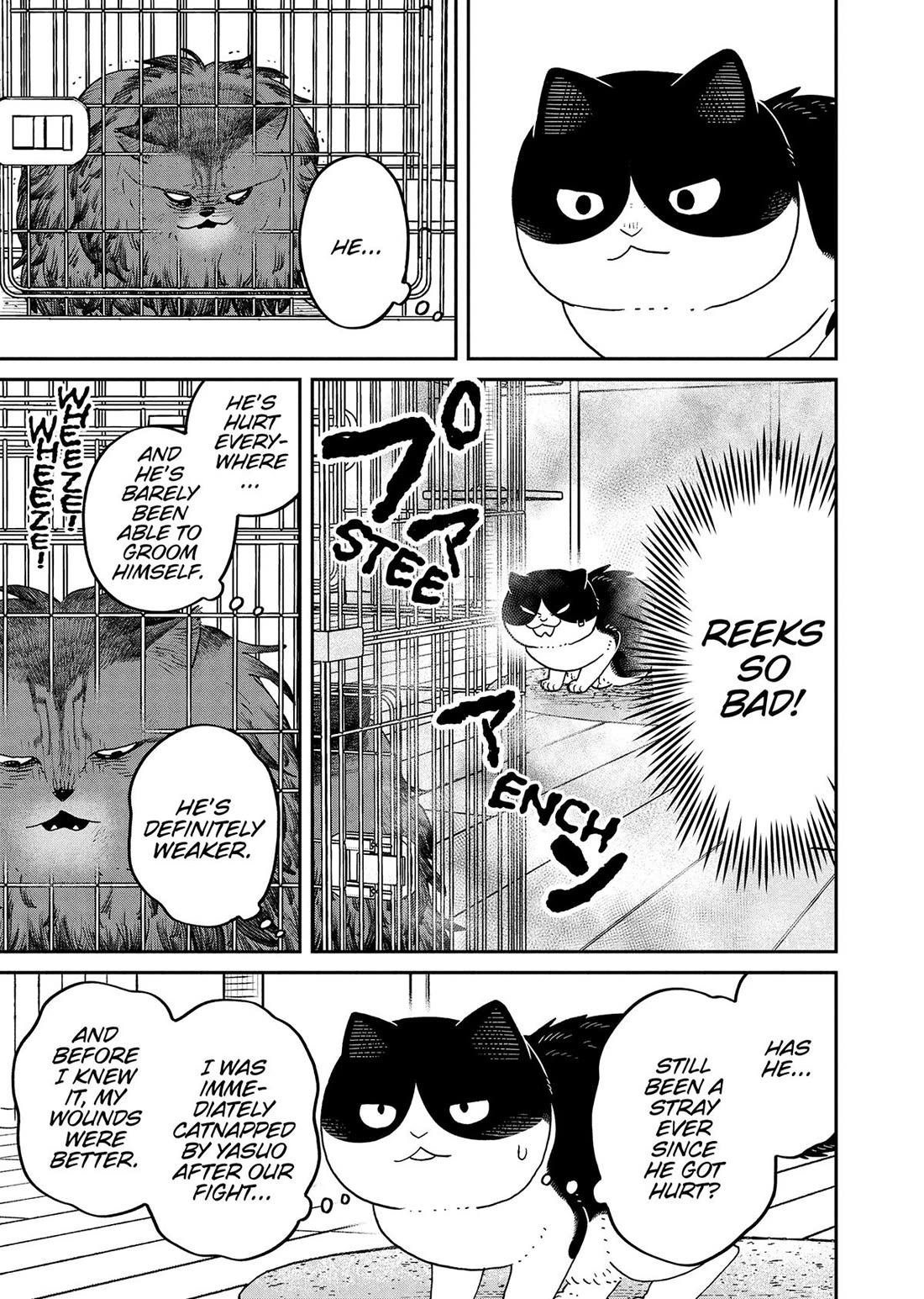 Cat Partners: Maruru and Hachi Chapter 44 page 5 - Chapter 44