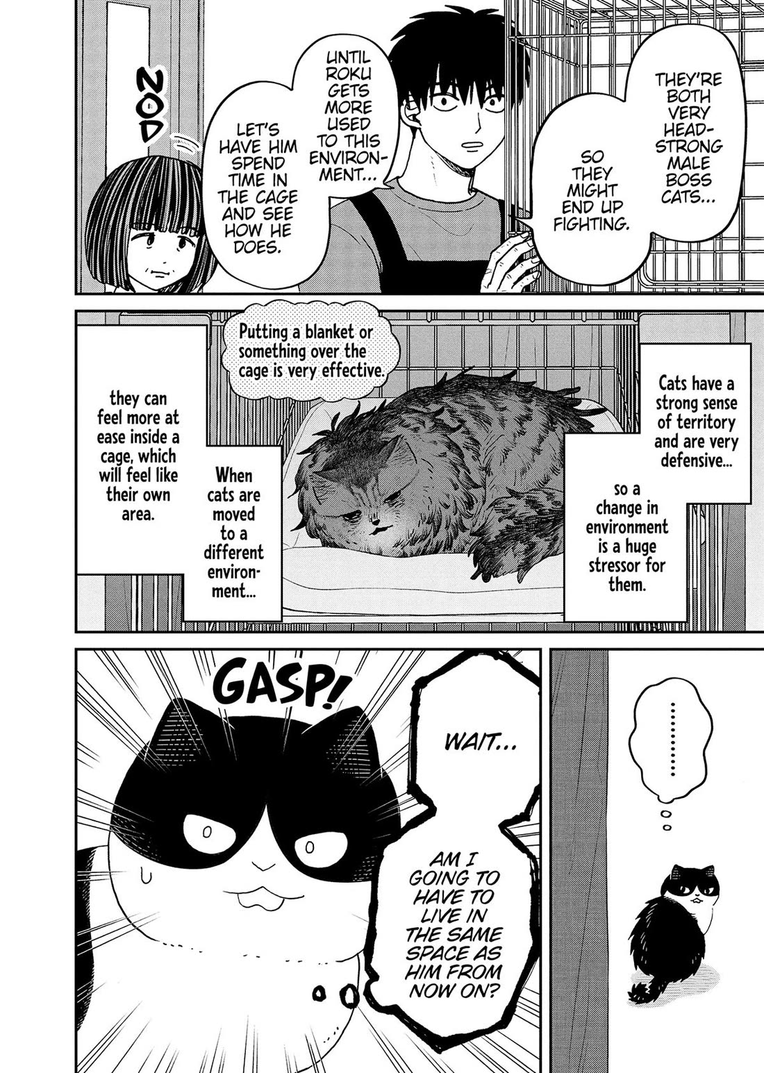 Cat Partners: Maruru and Hachi Chapter 44 page 6 - Chapter 44