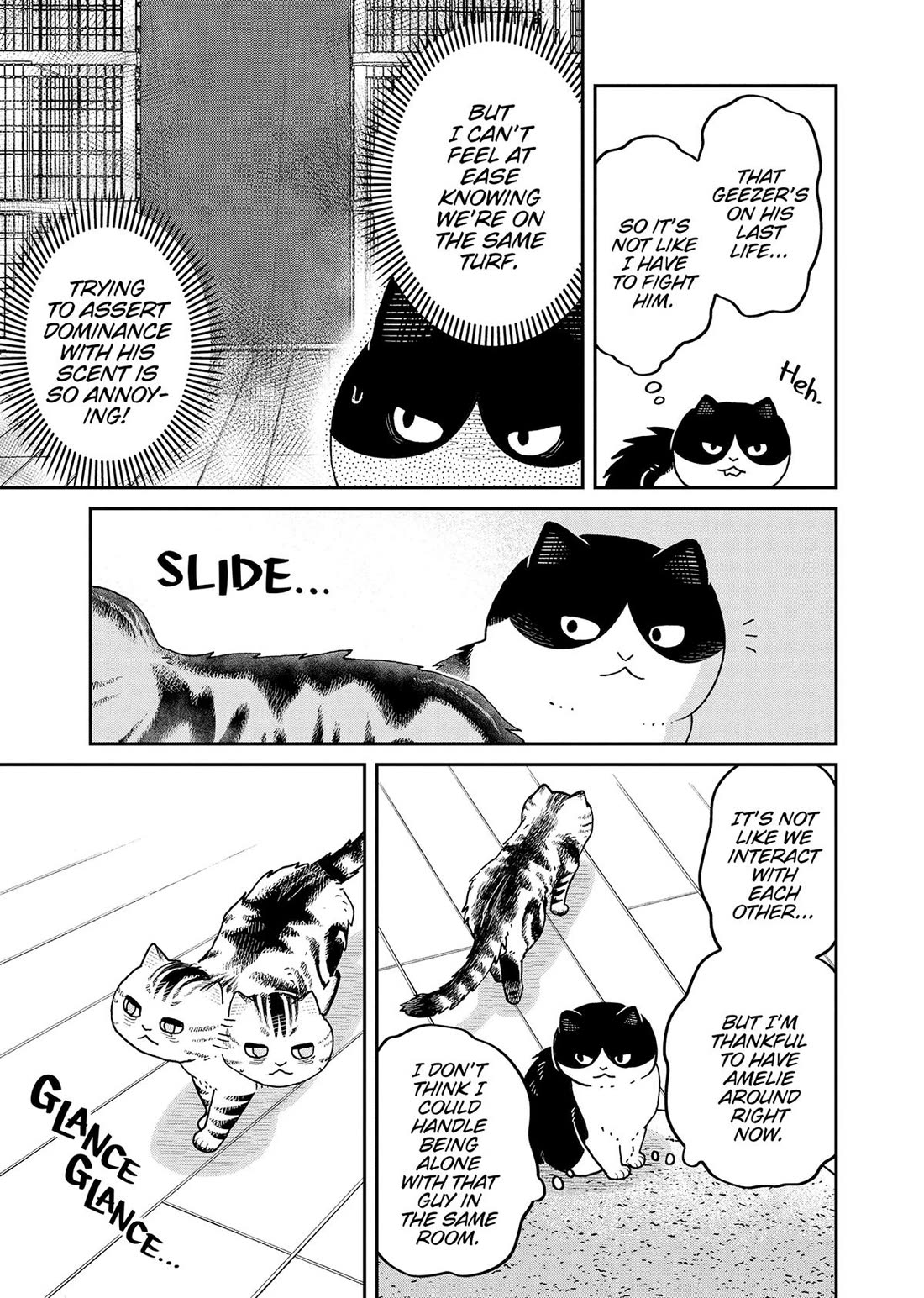 Cat Partners: Maruru and Hachi Chapter 44 page 7 - Chapter 44