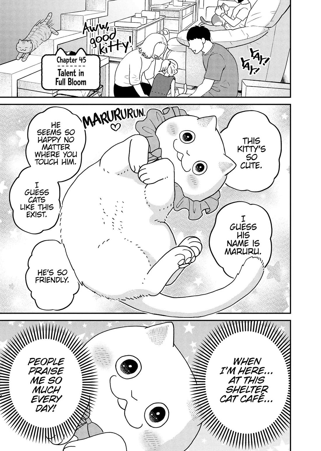 Cat Partners: Maruru and Hachi Chapter 45 page 1 - Chapter 45