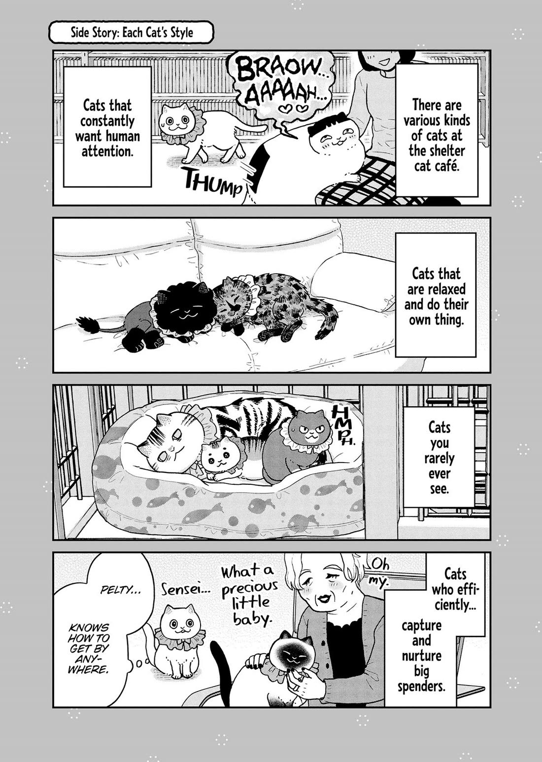 Cat Partners: Maruru and Hachi Chapter 45 page 13 - Chapter 45