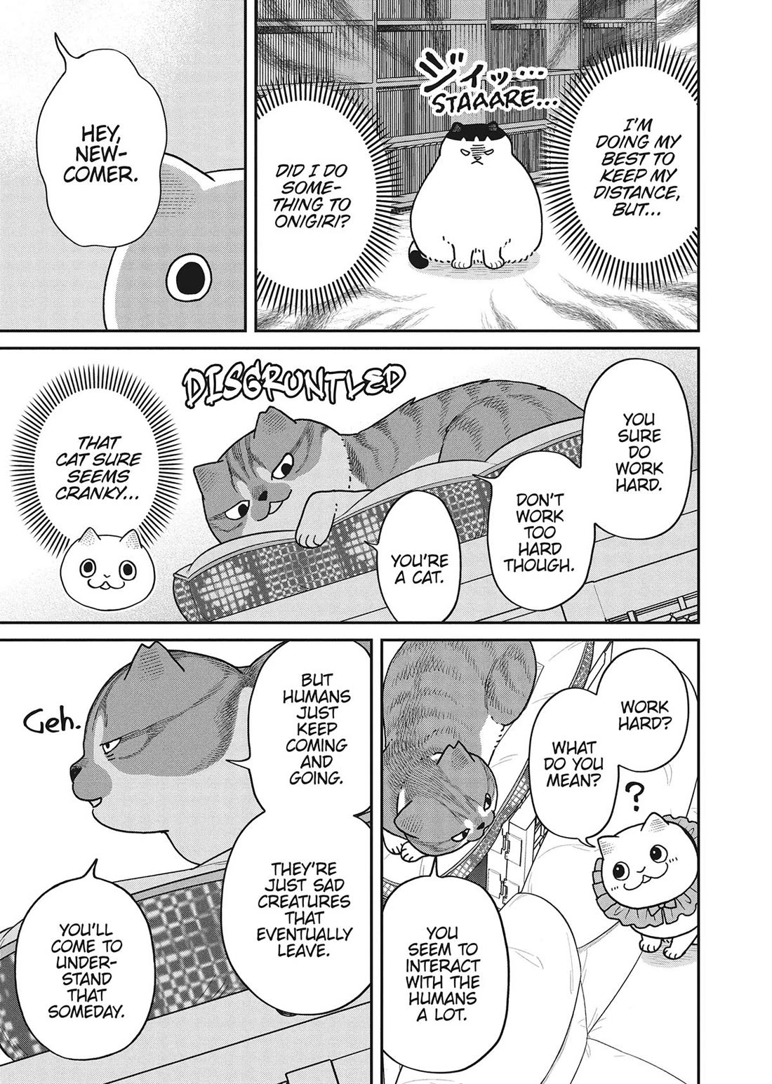 Cat Partners: Maruru and Hachi Chapter 45 page 3 - Chapter 45