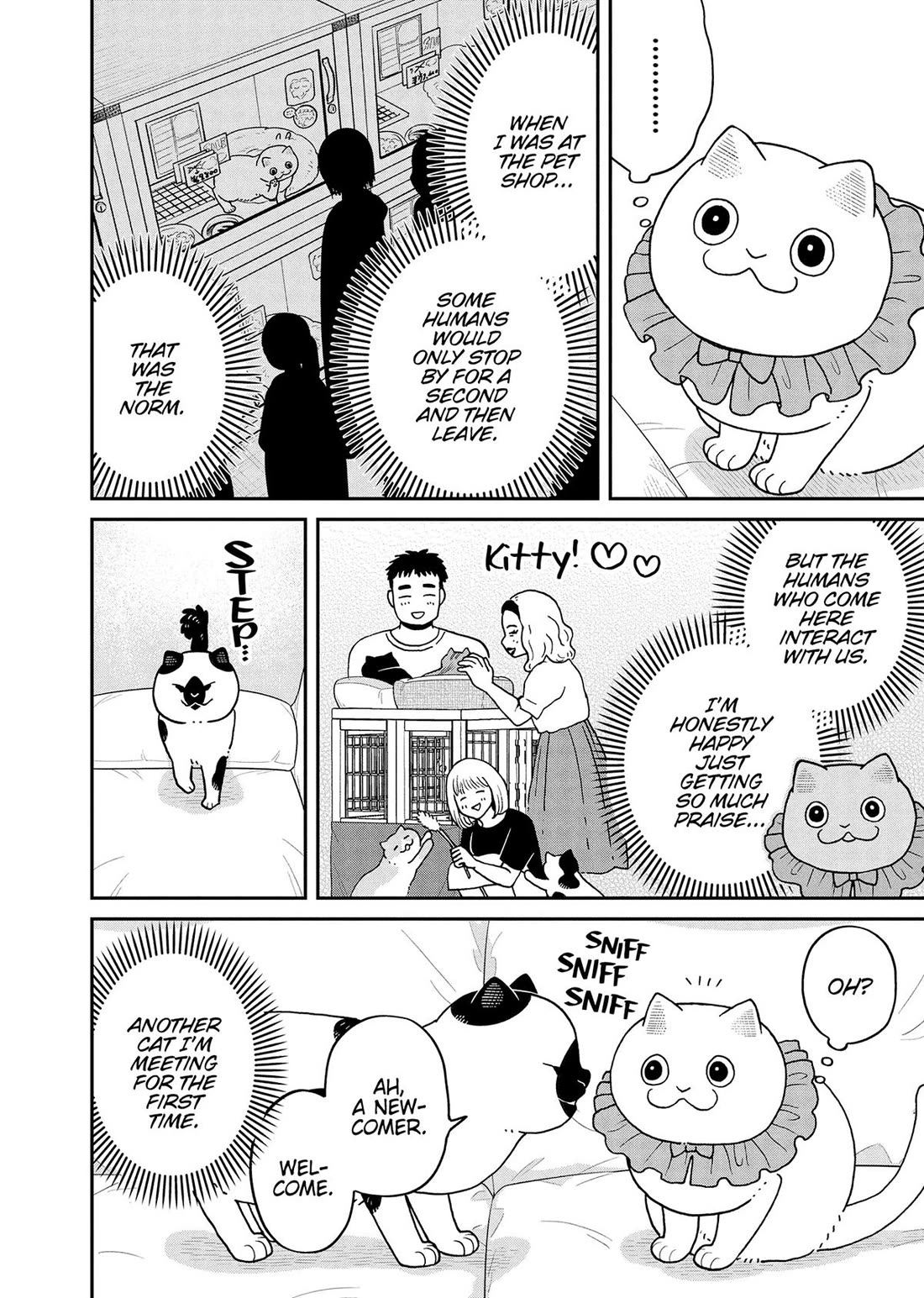 Cat Partners: Maruru and Hachi Chapter 45 page 4 - Chapter 45