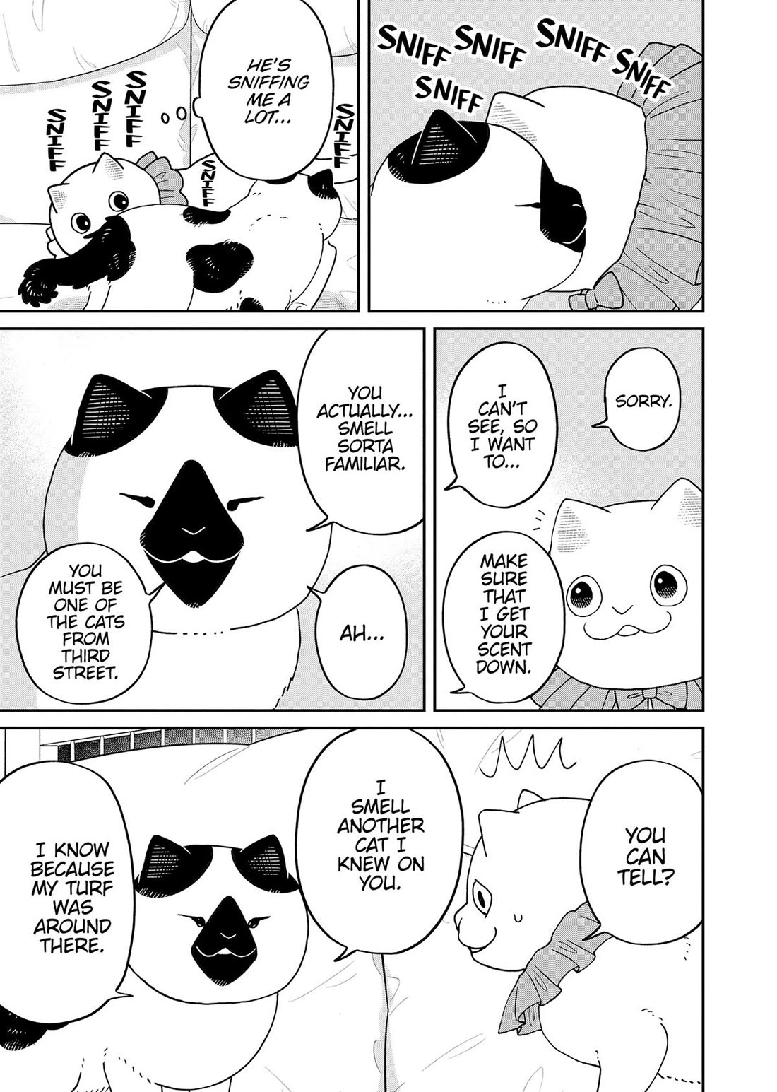 Cat Partners: Maruru and Hachi Chapter 45 page 5 - Chapter 45