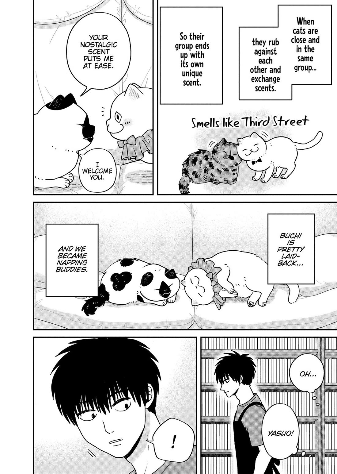 Cat Partners: Maruru and Hachi Chapter 45 page 6 - Chapter 45