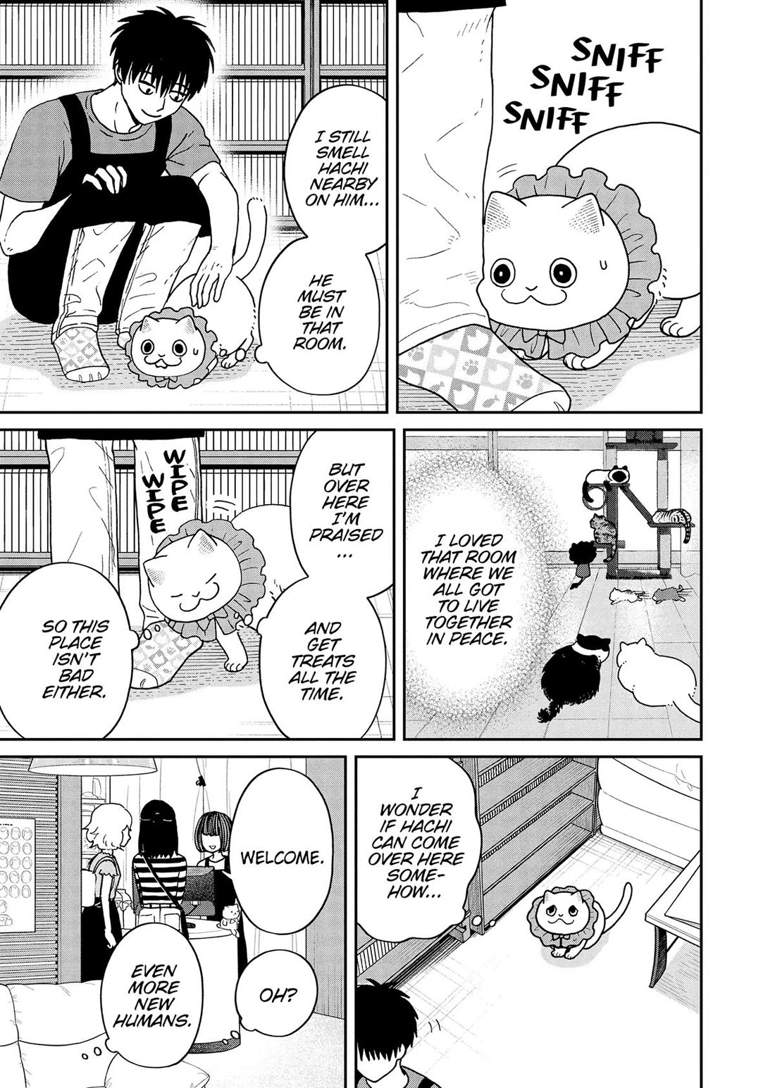 Cat Partners: Maruru and Hachi Chapter 45 page 7 - Chapter 45