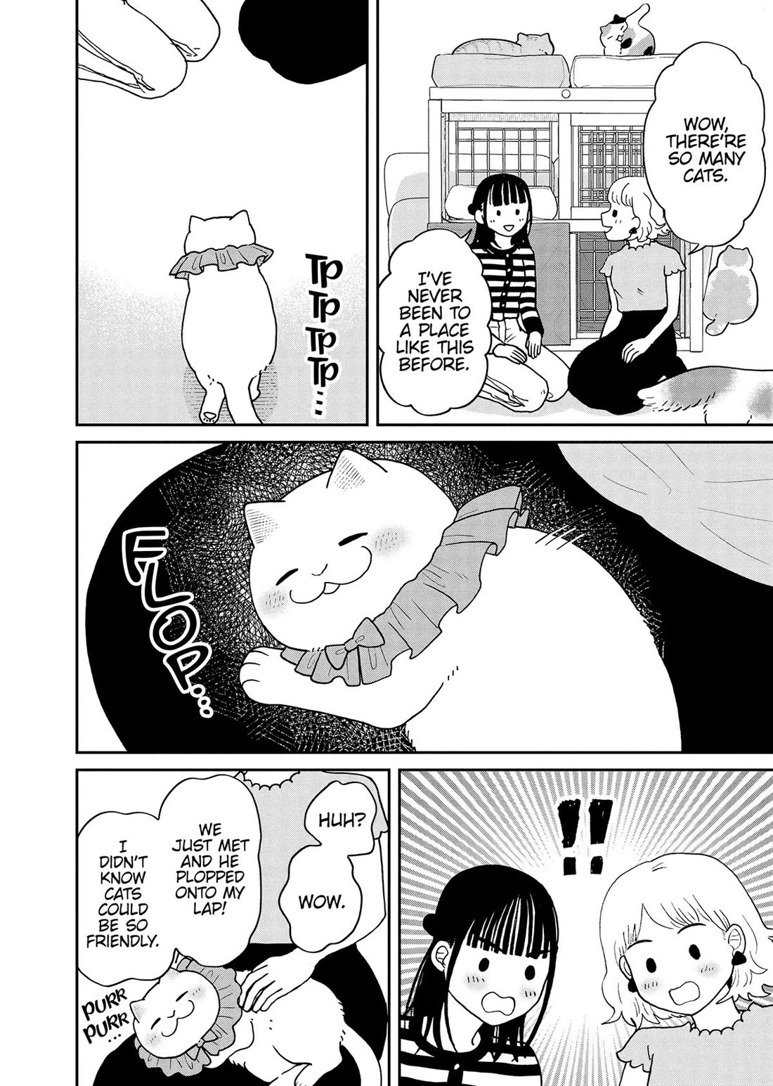 Cat Partners: Maruru and Hachi Chapter 45 page 8 - Chapter 45