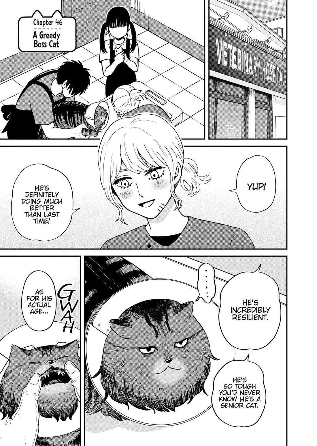 Cat Partners: Maruru and Hachi Chapter 46 page 1 - Chapter 46