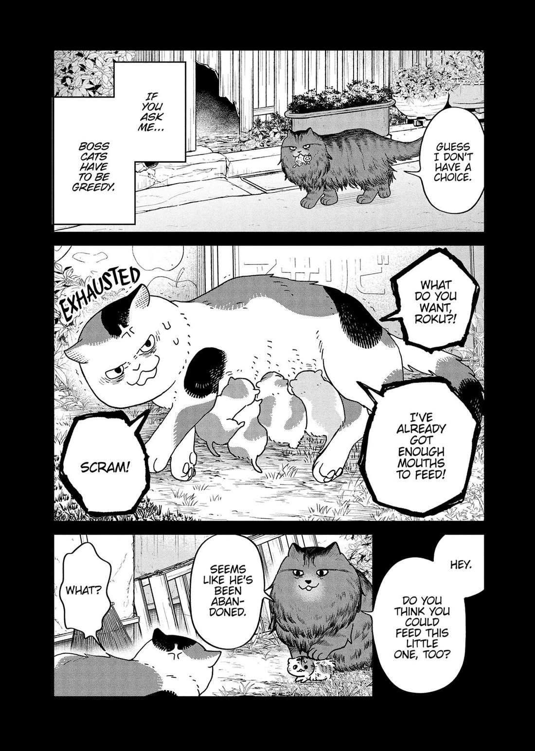 Cat Partners: Maruru and Hachi Chapter 46 page 10 - Chapter 46