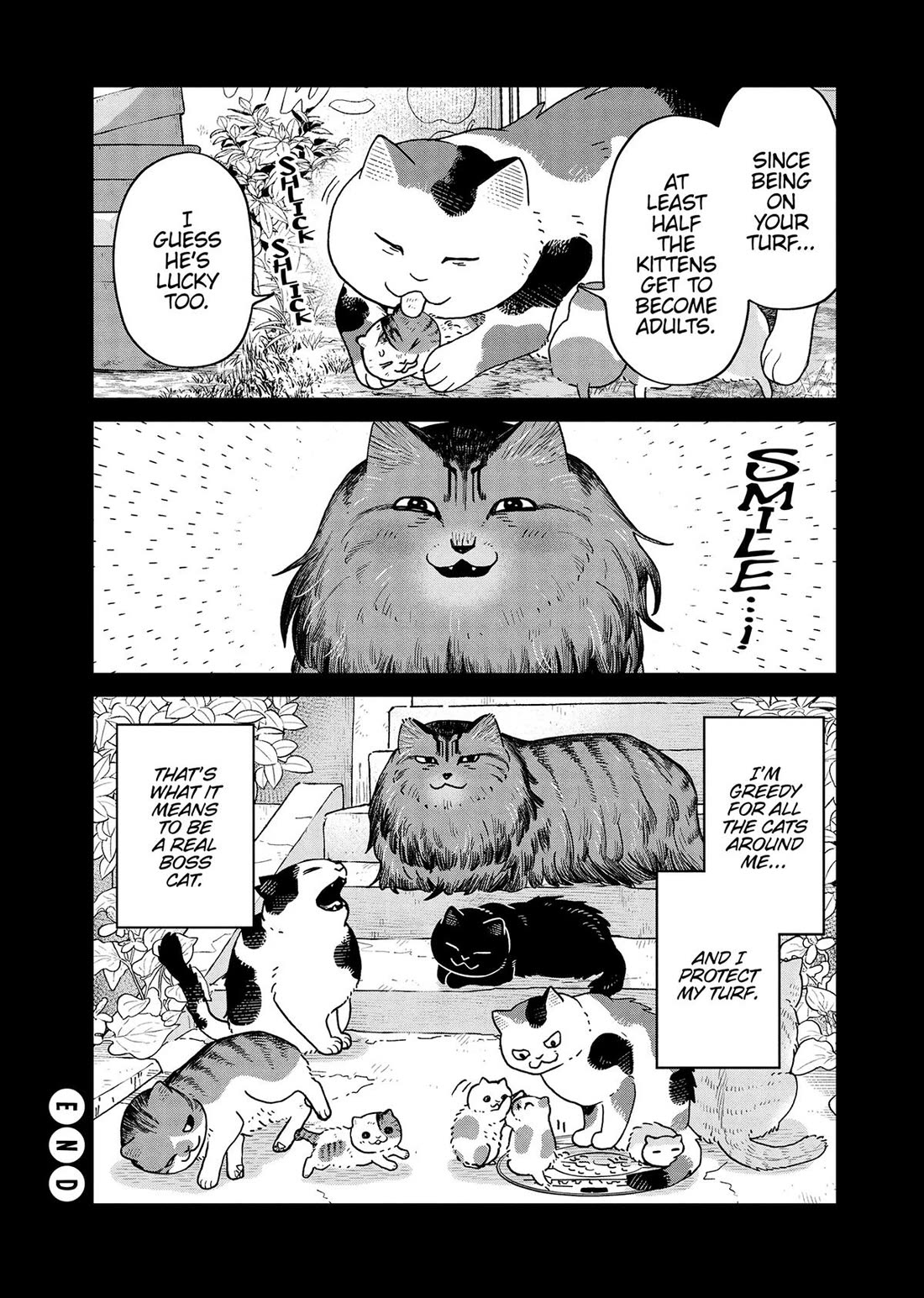 Cat Partners: Maruru and Hachi Chapter 46 page 12 - Chapter 46