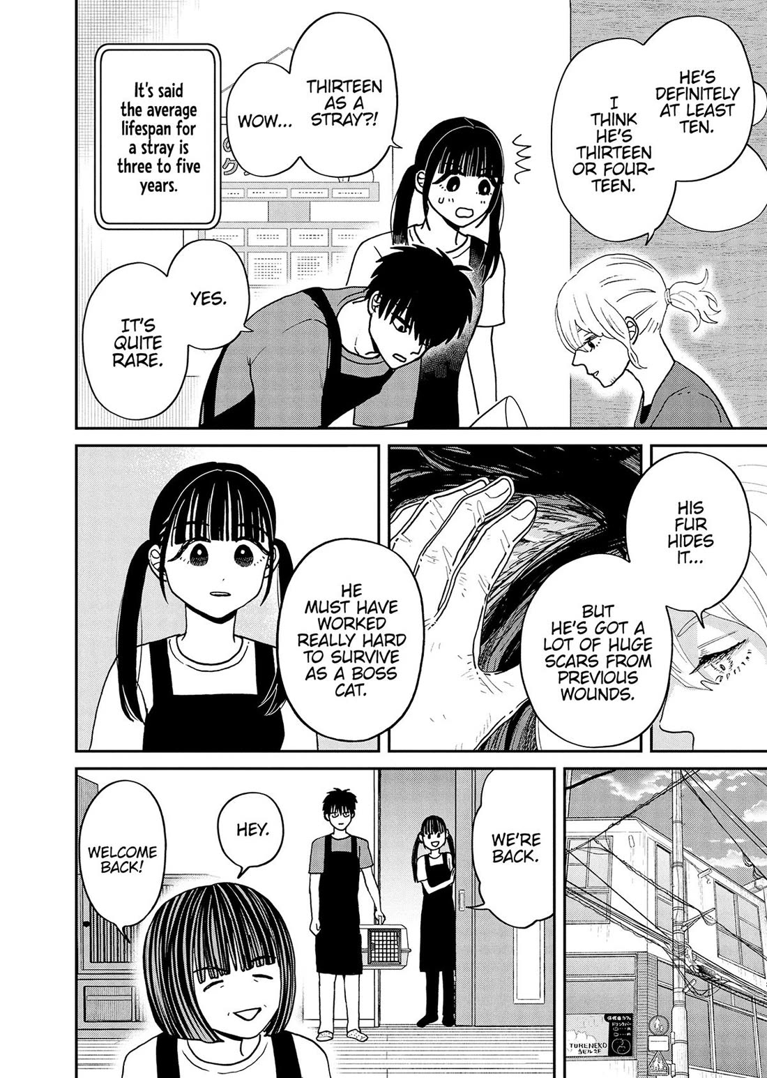 Cat Partners: Maruru and Hachi Chapter 46 page 2 - Chapter 46