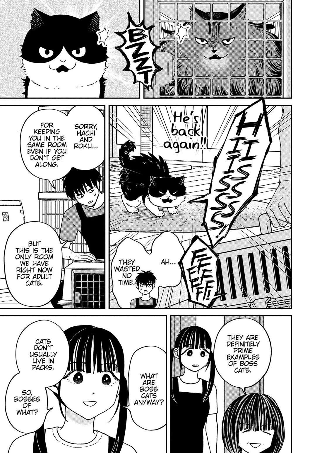Cat Partners: Maruru and Hachi Chapter 46 page 3 - Chapter 46