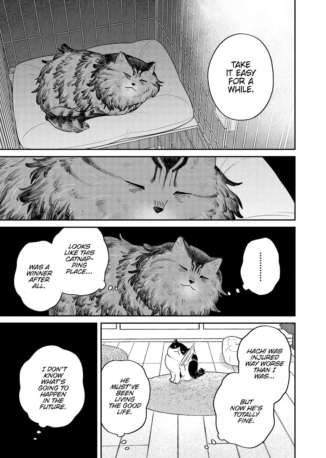 Cat Partners: Maruru and Hachi Chapter 46 page 5 - Chapter 46