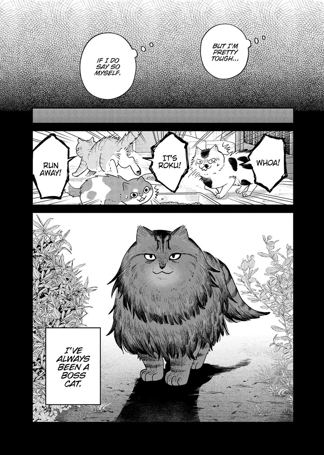 Cat Partners: Maruru and Hachi Chapter 46 page 6 - Chapter 46