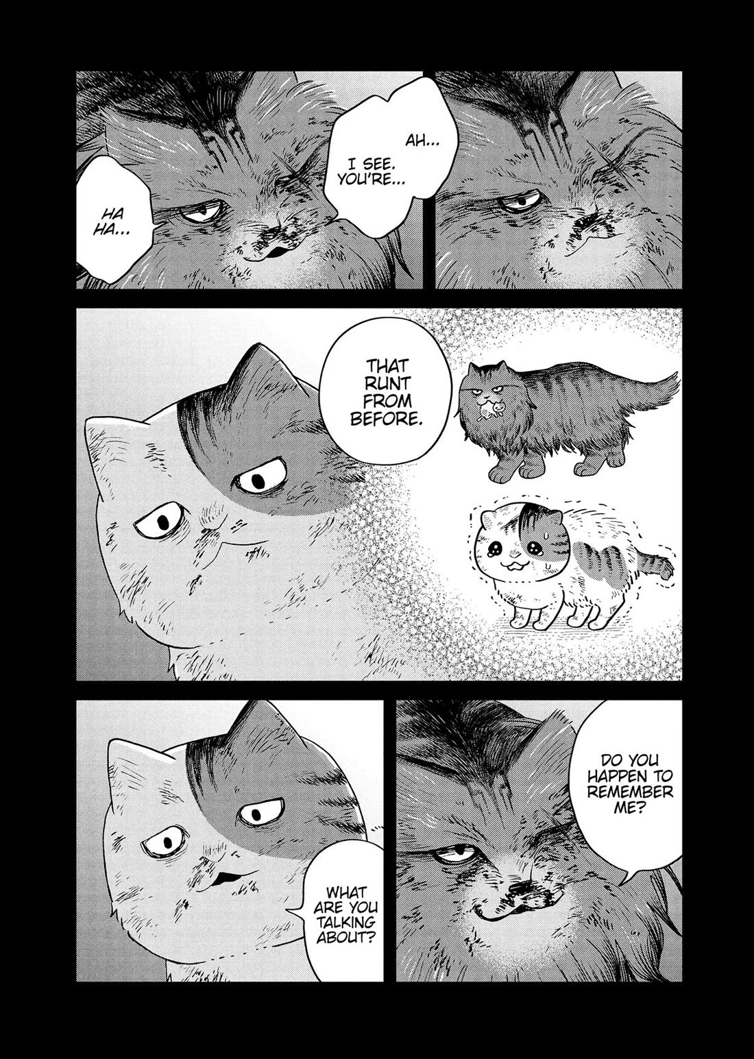Cat Partners: Maruru and Hachi Chapter 47 page 12 - Chapter 47