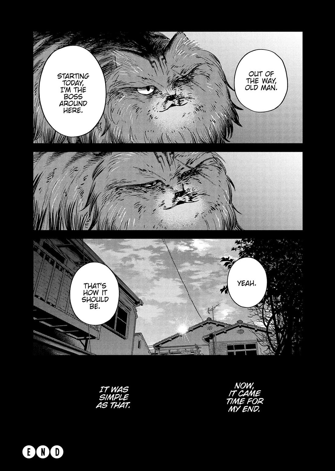 Cat Partners: Maruru and Hachi Chapter 47 page 13 - Chapter 47